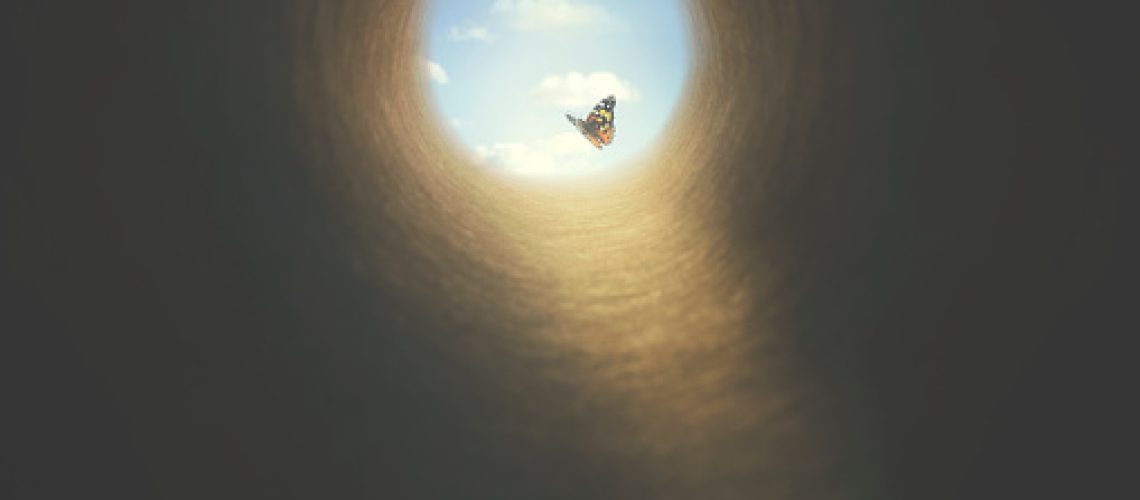 colorful butterfly finds its way out of a dark tunnel, concept of freedom